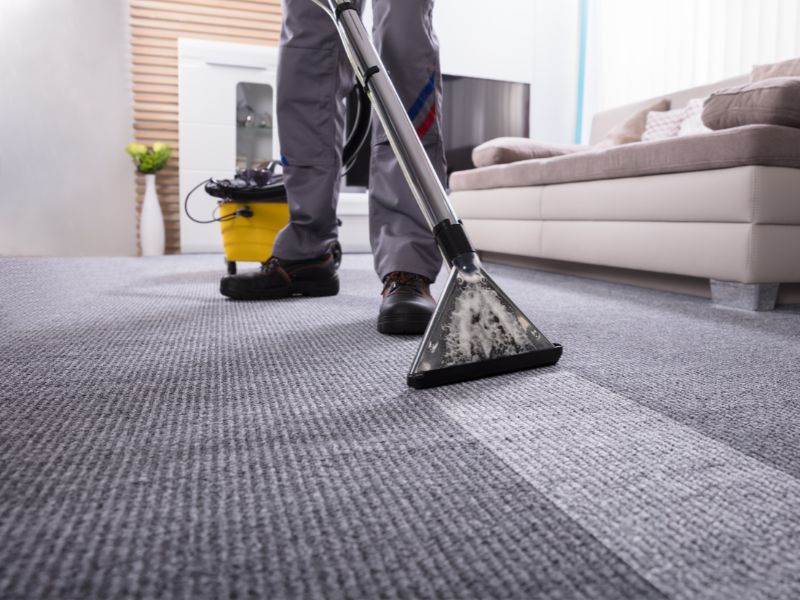 Professional Carpet Cleaning and Maintenance from NK Floors