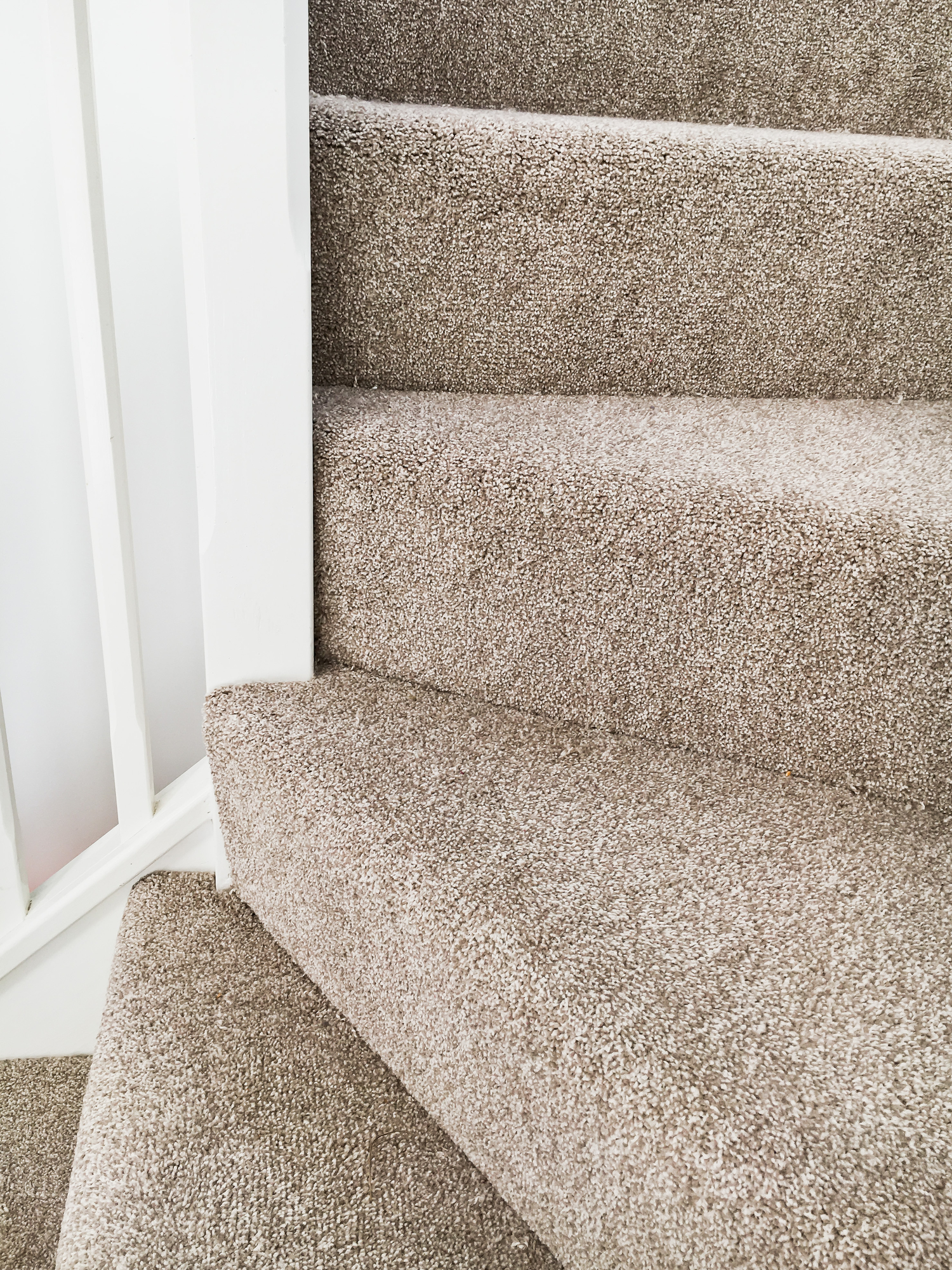 Residential carpet restretching and maintenance services